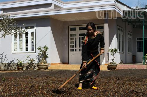 Sắc thắm Pơ Lang giữa đại ngàn Tây Nguyên